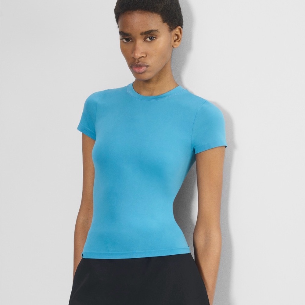 Aritzia Blue Willow Tee